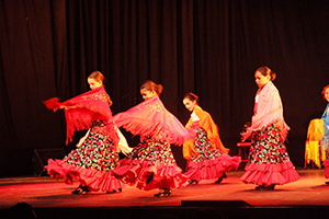 flamenco