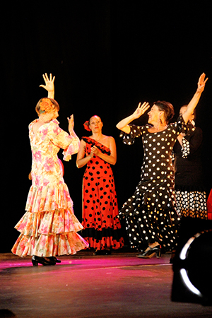 flamenco2