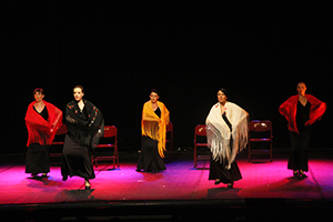 flamenco3